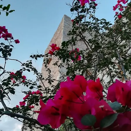 Diros Tower Апартаменты Pyrgos Dirou